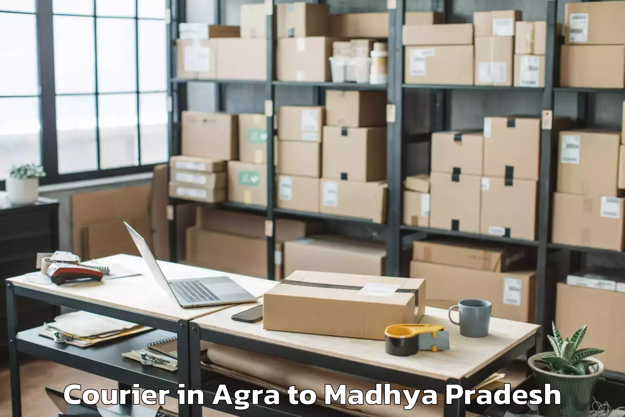 Top Agra to Buxwaha Courier Available